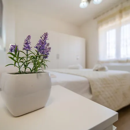 O'sole Mio ポンペイ